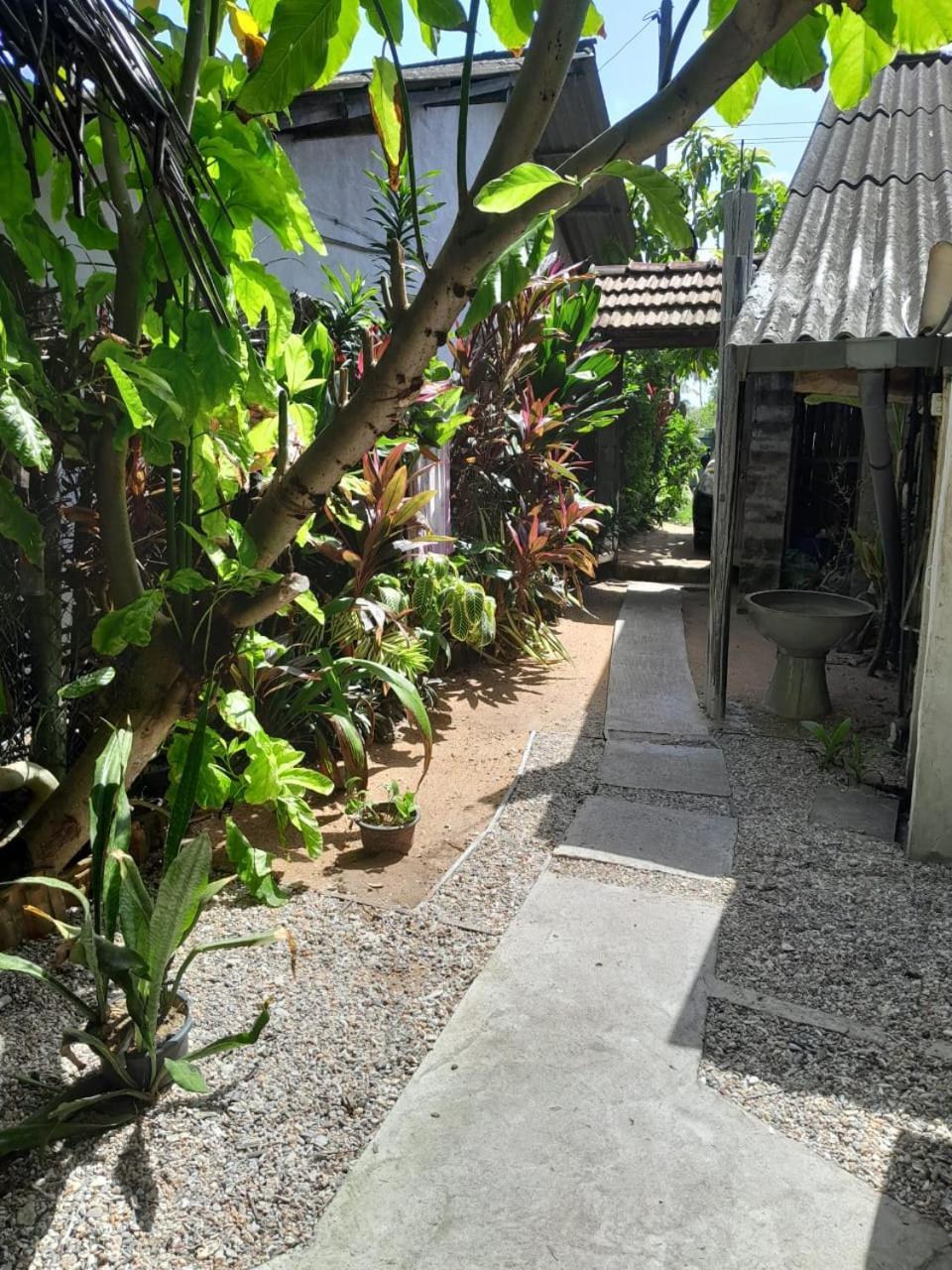 Brother'S Beach Home Bussa Buitenkant foto
